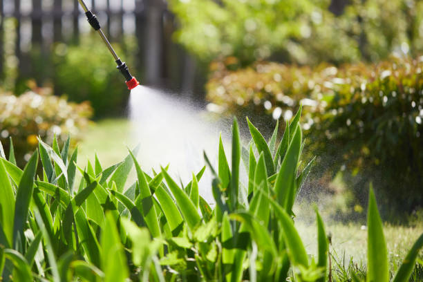 24/7 Emergency Ant Control experts in McKeesport, PA