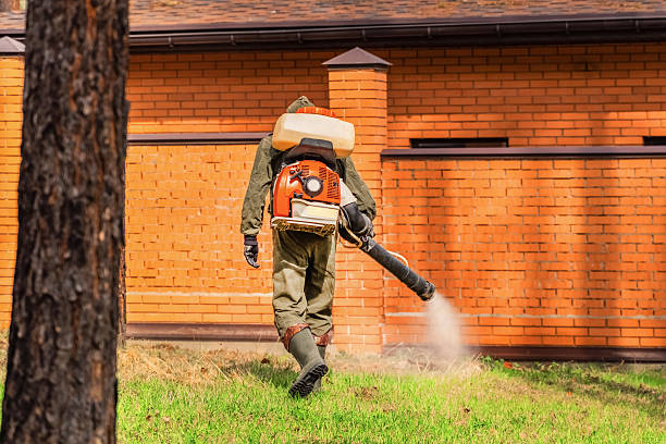 Trusted Mosquito Control service in McKeesport, PA - Nex Pest Control